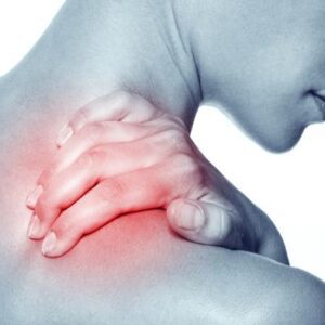 Cojines terapéuticos sin funda